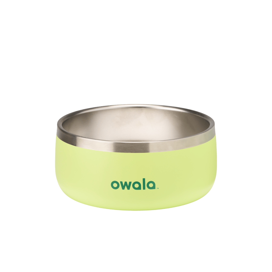 Pet Bowl 9JMN