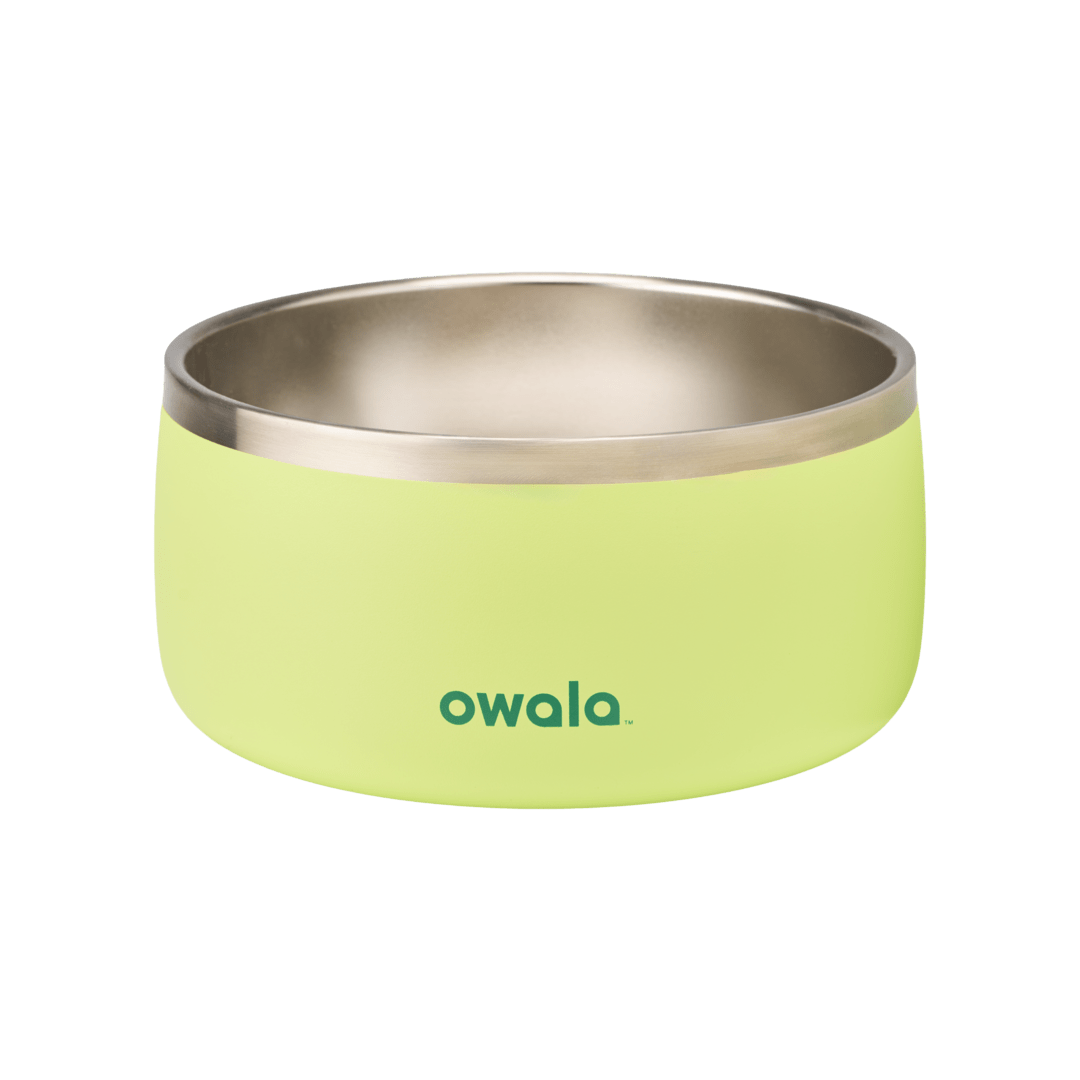 Pet Bowl 9JMN