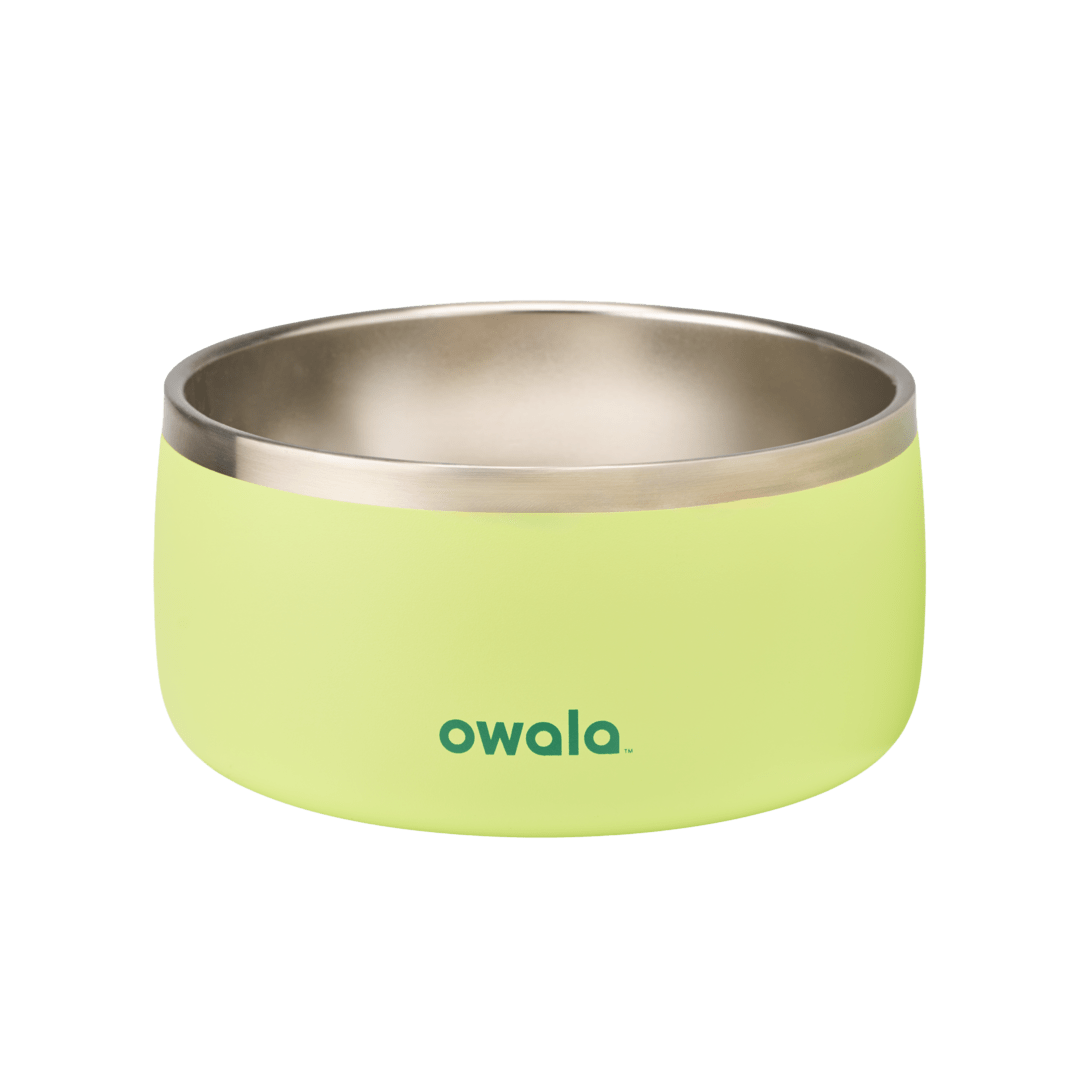 Pet Bowl 9JMN