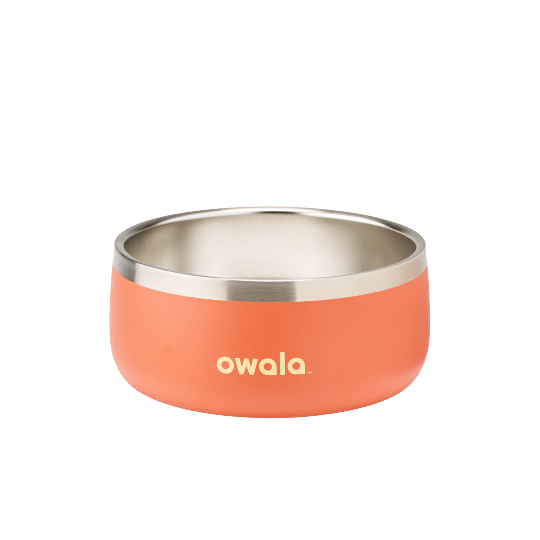 Pet Bowl 9JMN