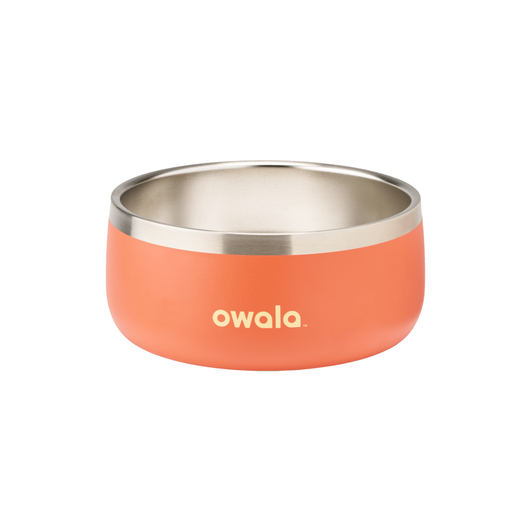 Pet Bowl 9JMN