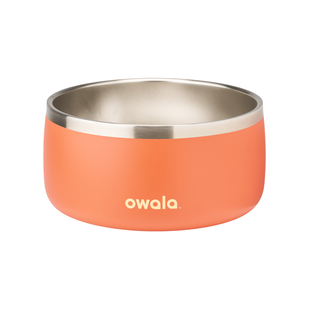 Pet Bowl 9JMN