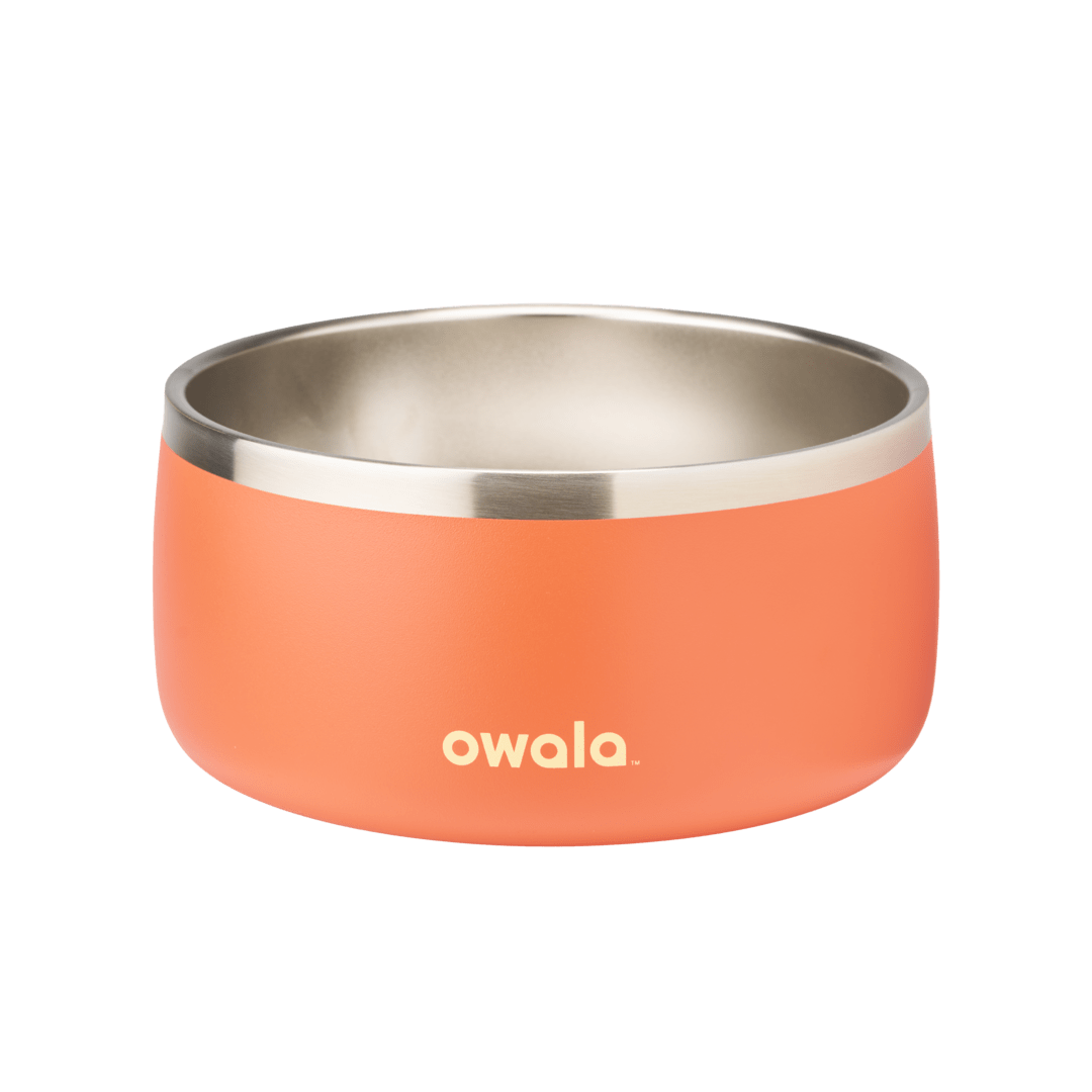 Pet Bowl 9JMN