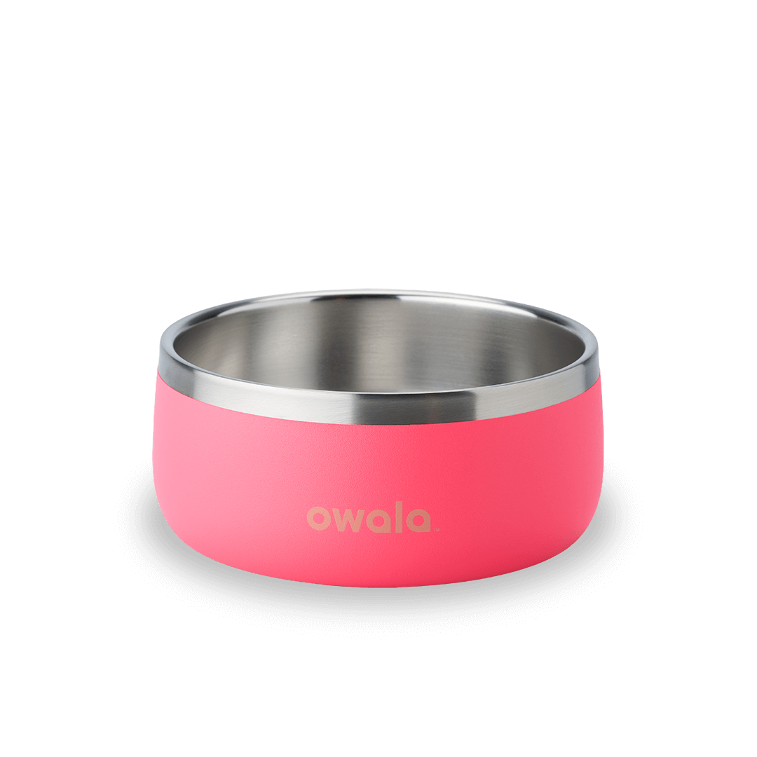 Pet Bowl 9JMN
