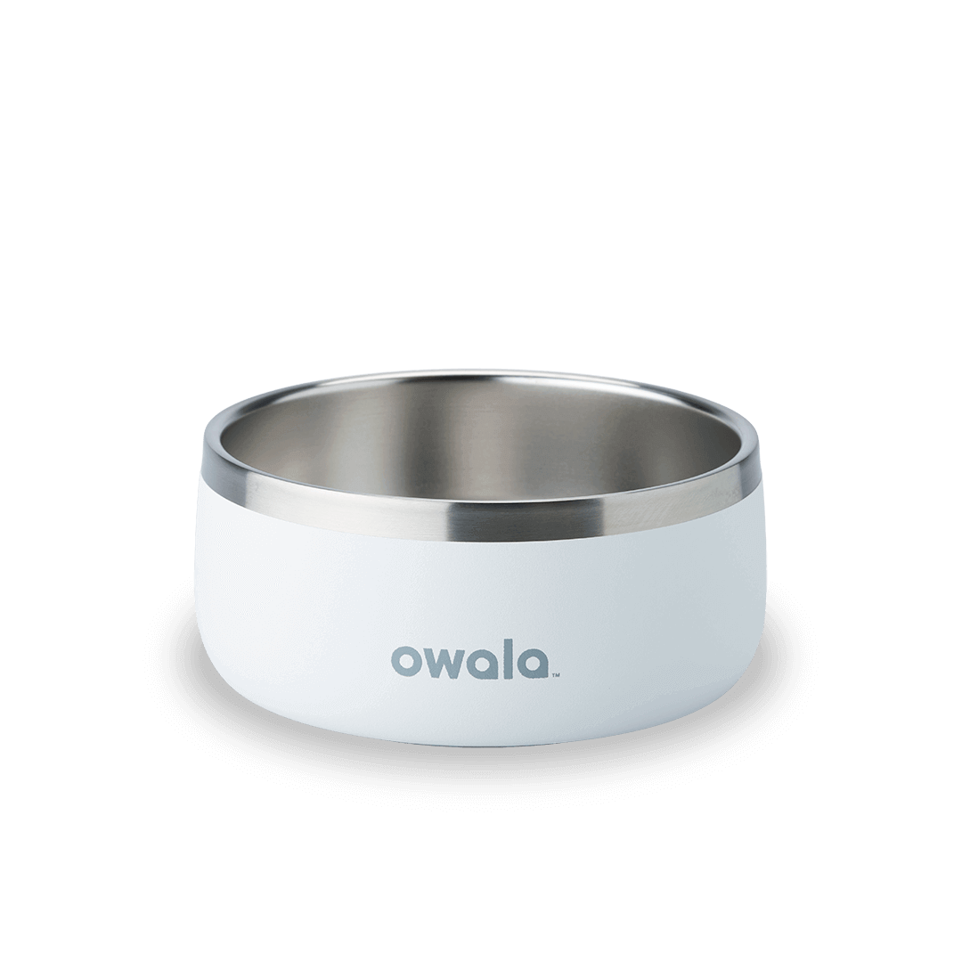 Pet Bowl 9JMN