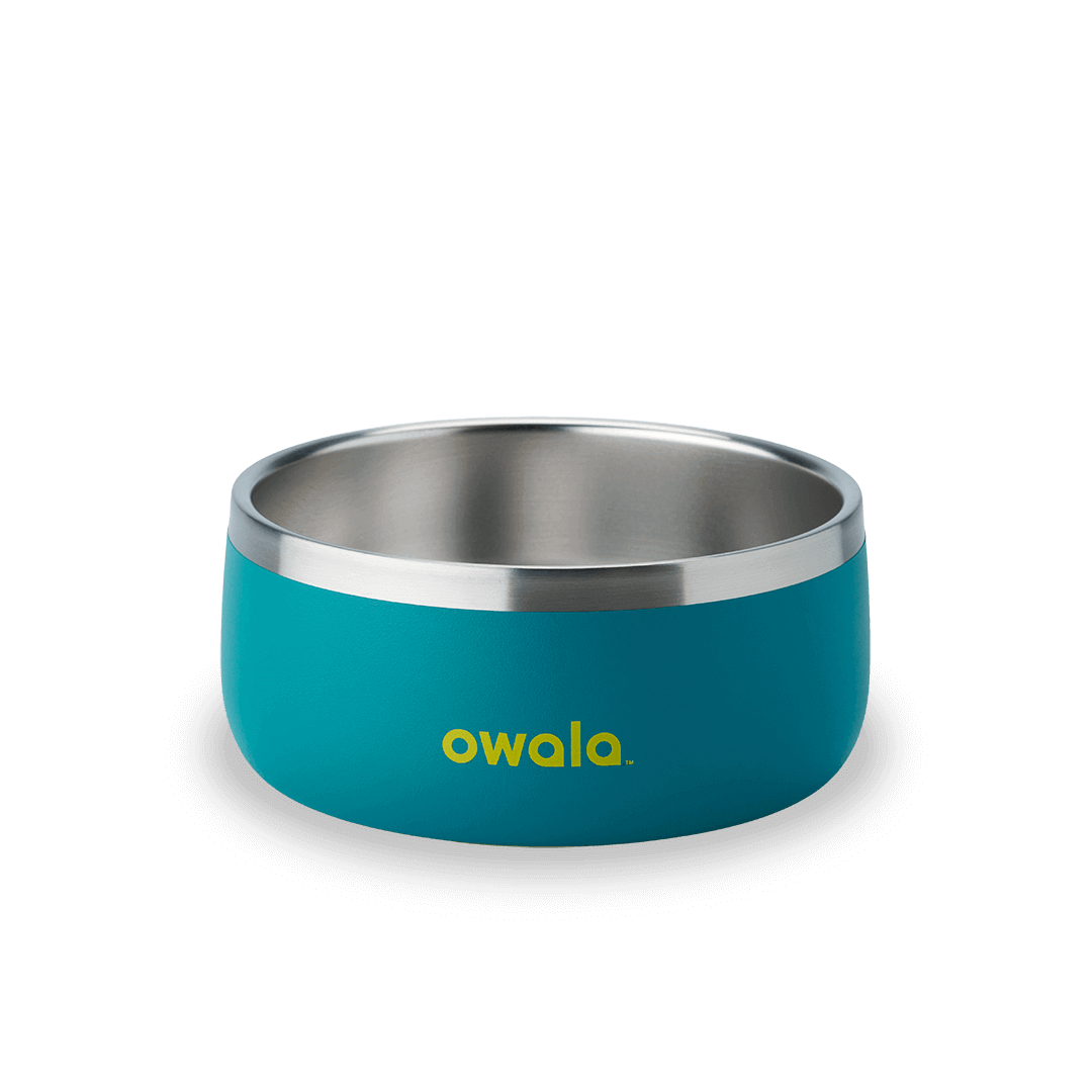Pet Bowl 9JMN