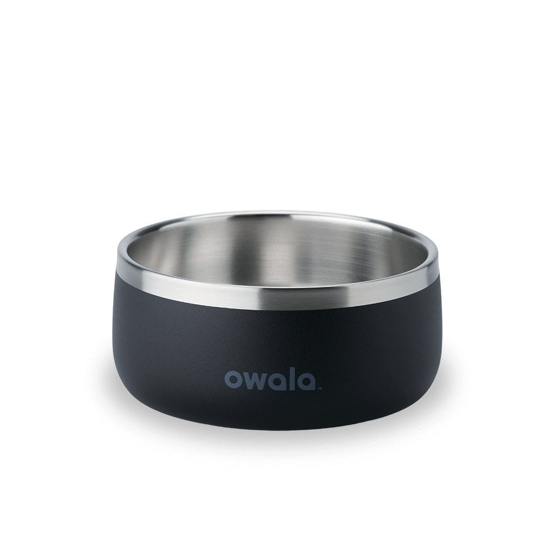 Pet Bowl 9JMN
