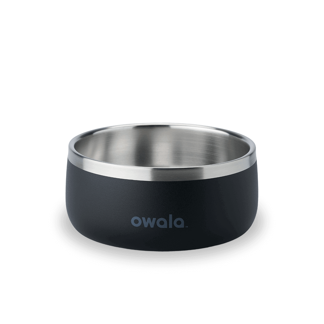 Pet Bowl 9JMN
