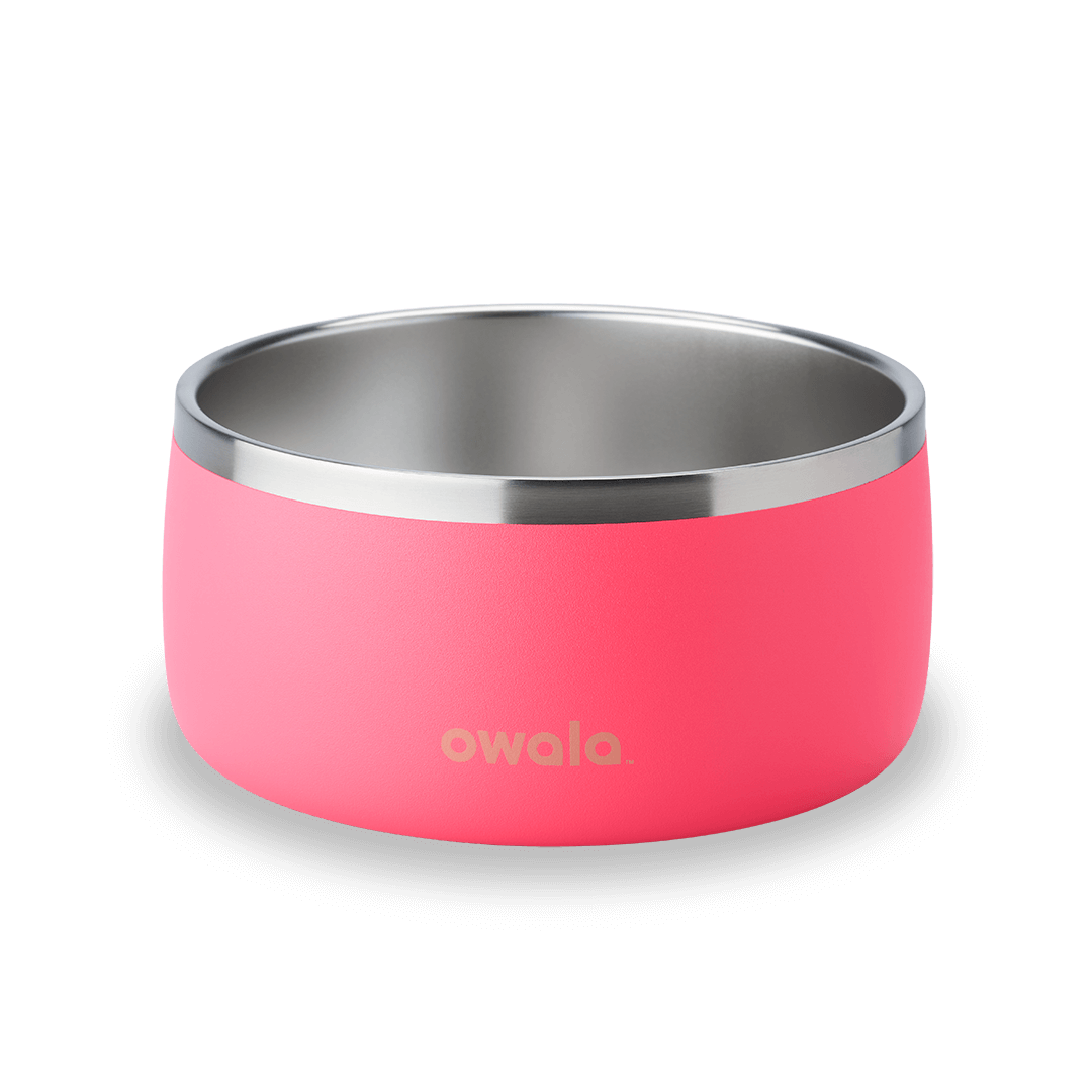 Pet Bowl 9JMN