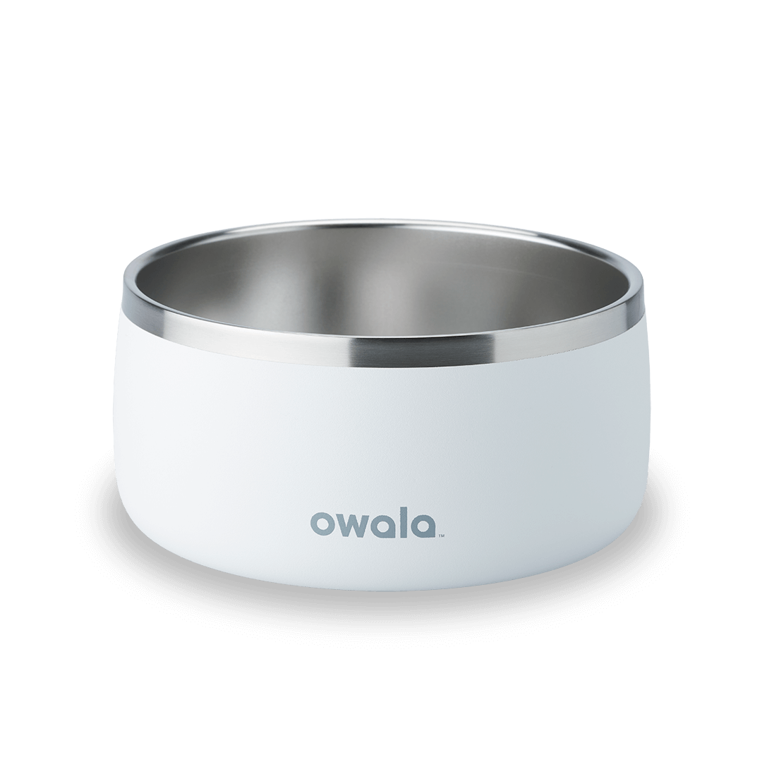 Pet Bowl 9JMN